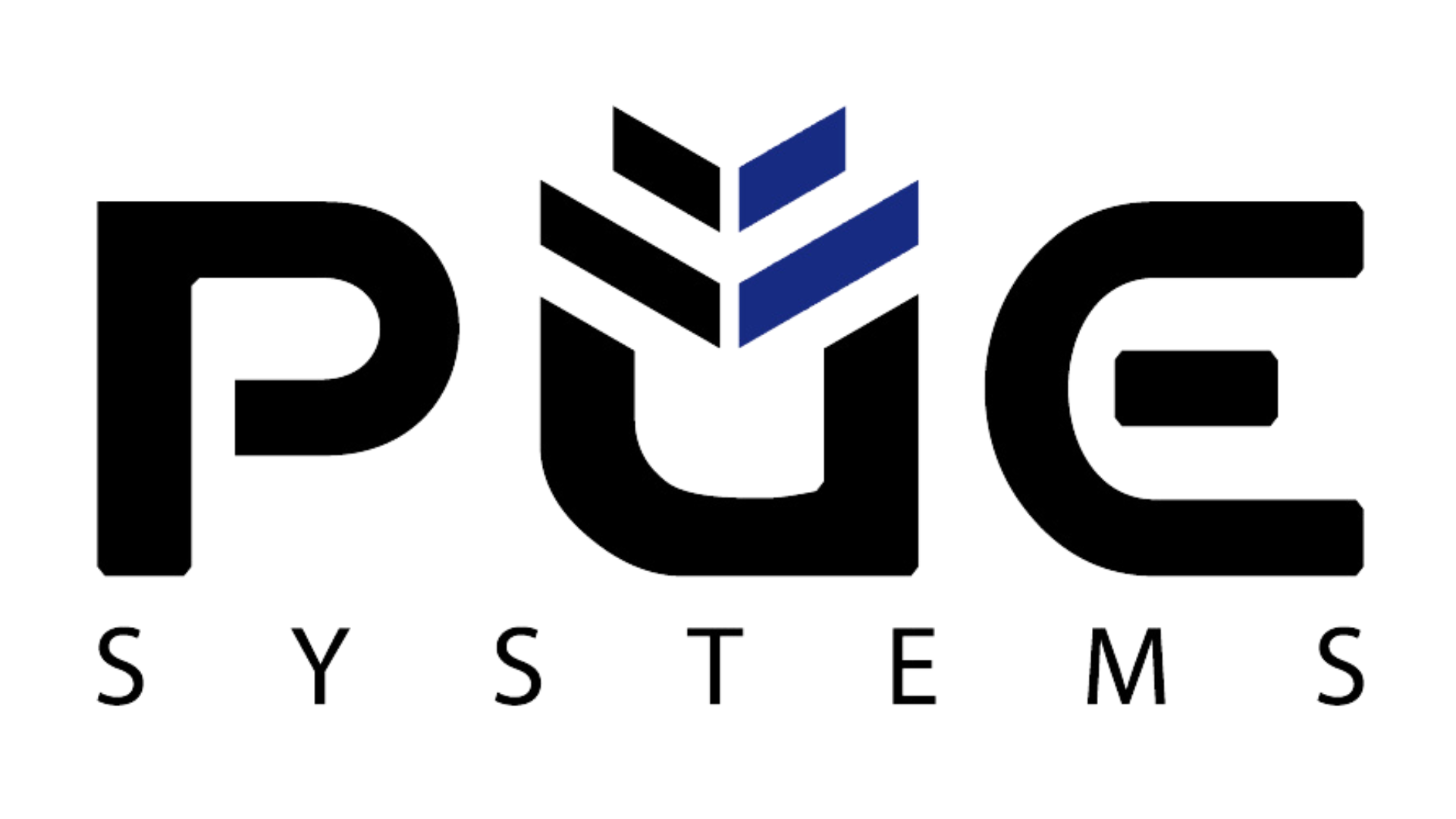Puerstinger High Purity Systems GmbH